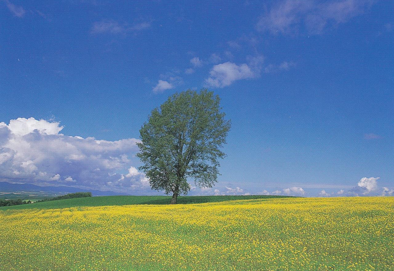 Furano La Terre Hotel Nakafurano Buitenkant foto